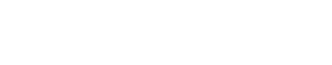 Argus Contracting