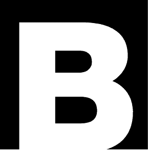 The Boldt Company
