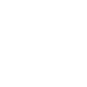Lanz Cabinets