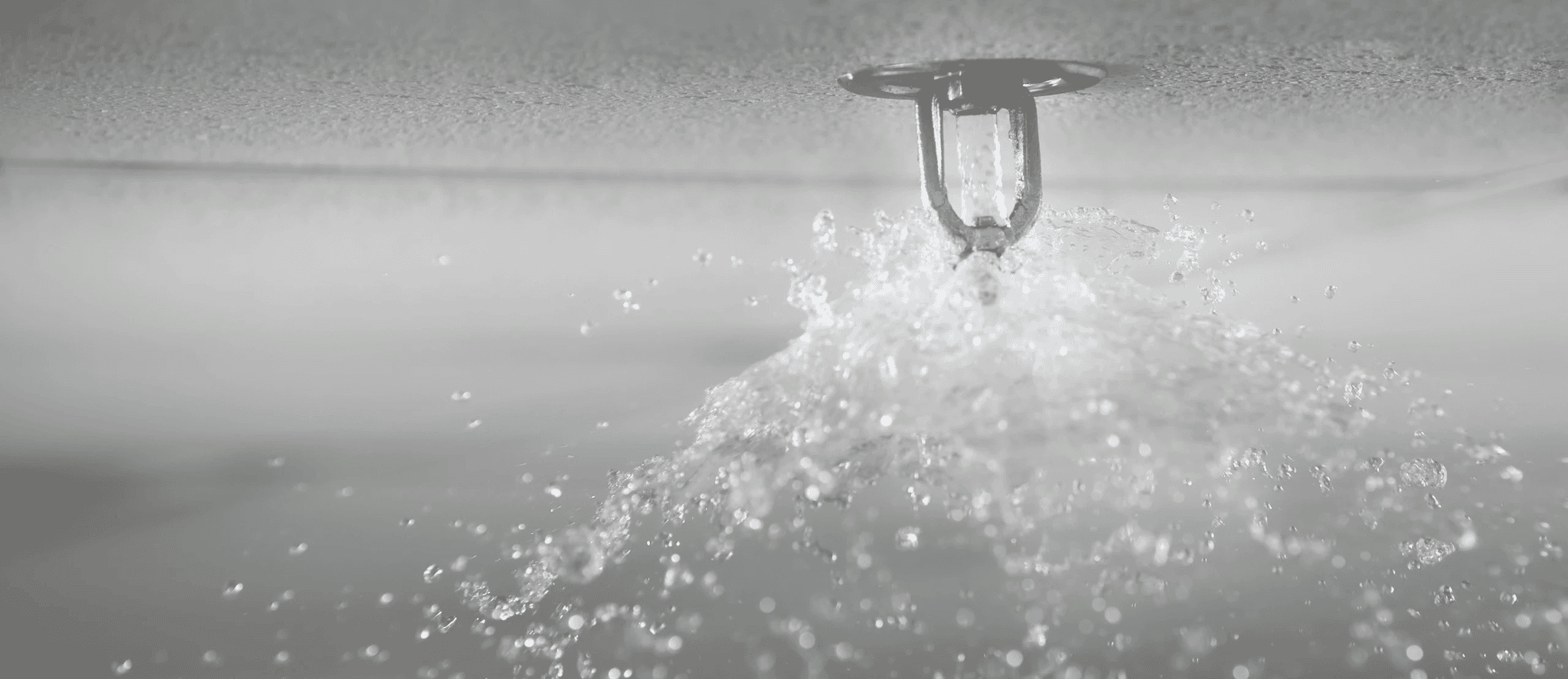 M and M Fire Protection, Inc.