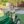 exterior of artificial turf foundation with kid on tractor