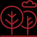 Tree & Shrub Care