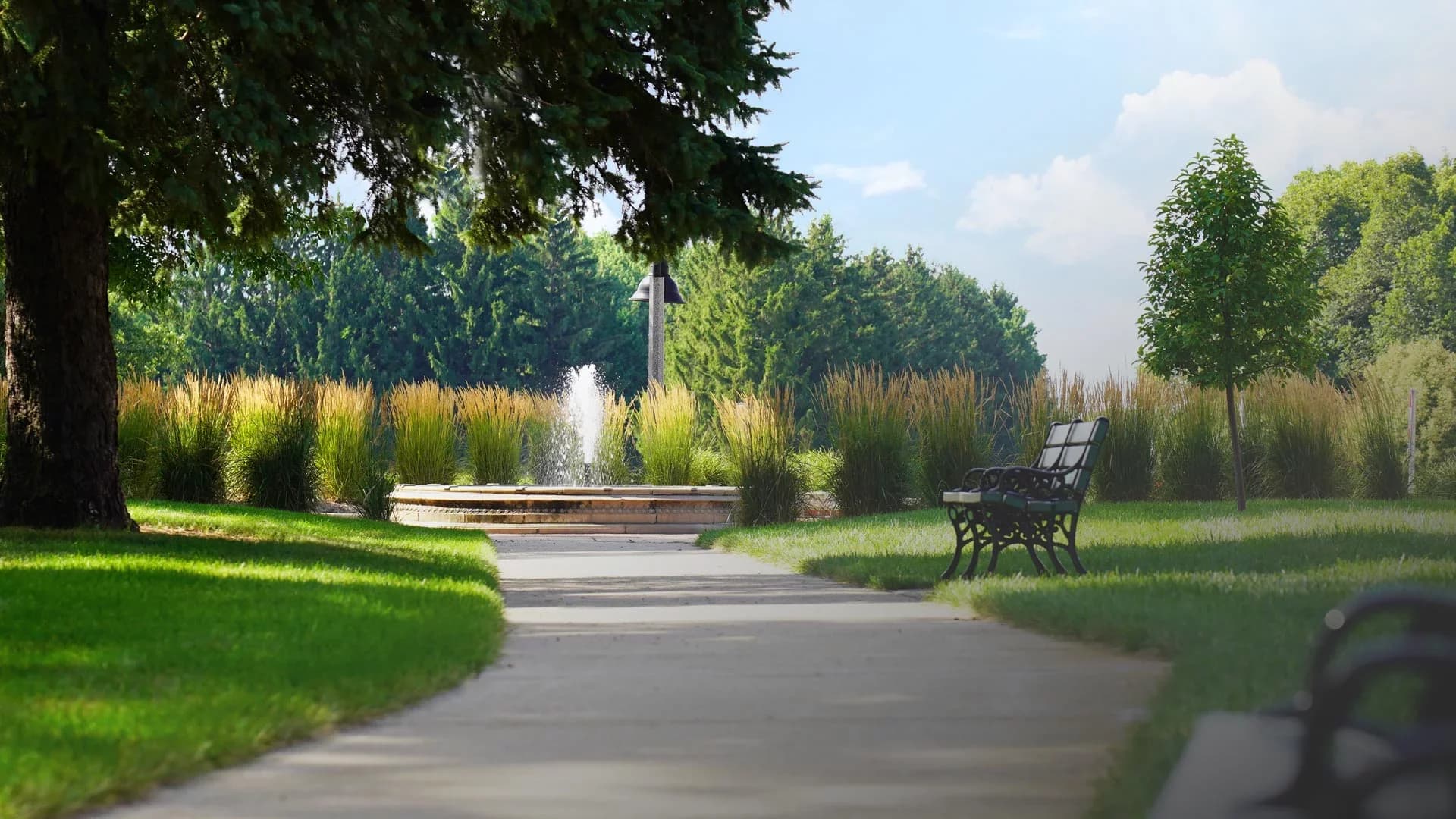 Madison Landscape Construction portfolio photo