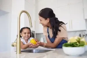 Lane Plumbing Repairs & More | Raleigh & Cary, NC portfolio photo