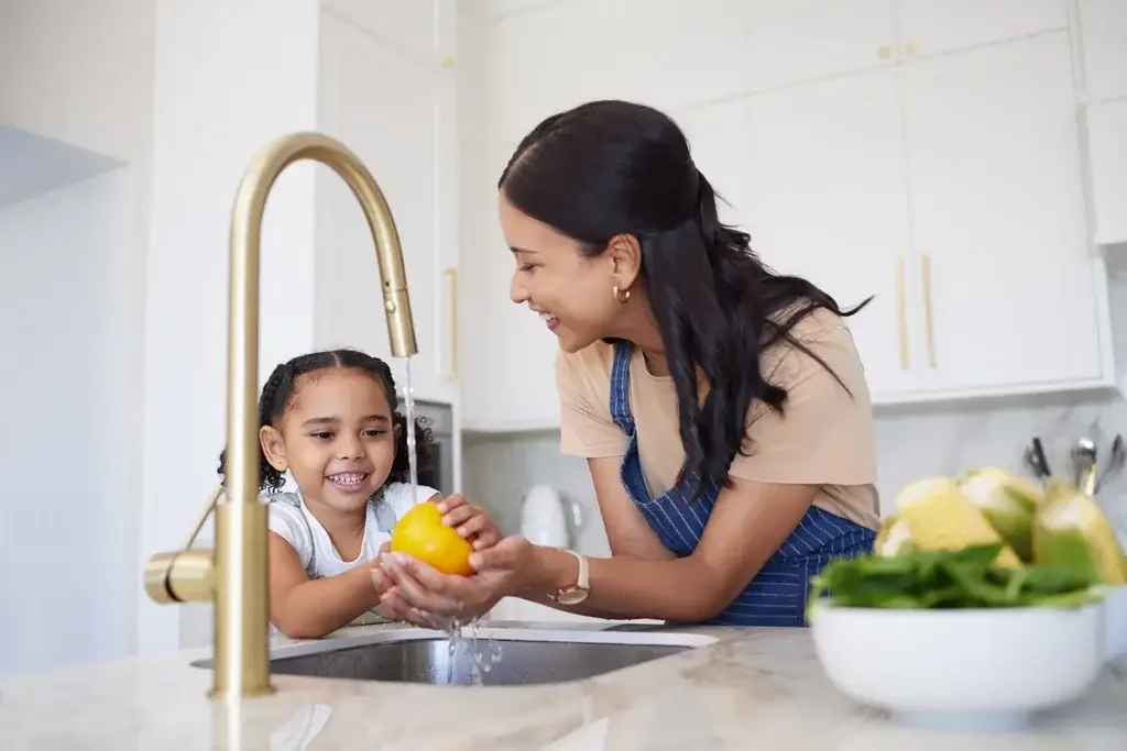 Lane Plumbing Repairs & More | Raleigh & Cary, NC portfolio photo