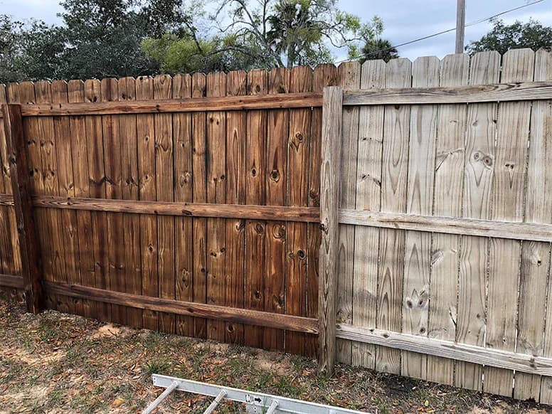 Fence painting