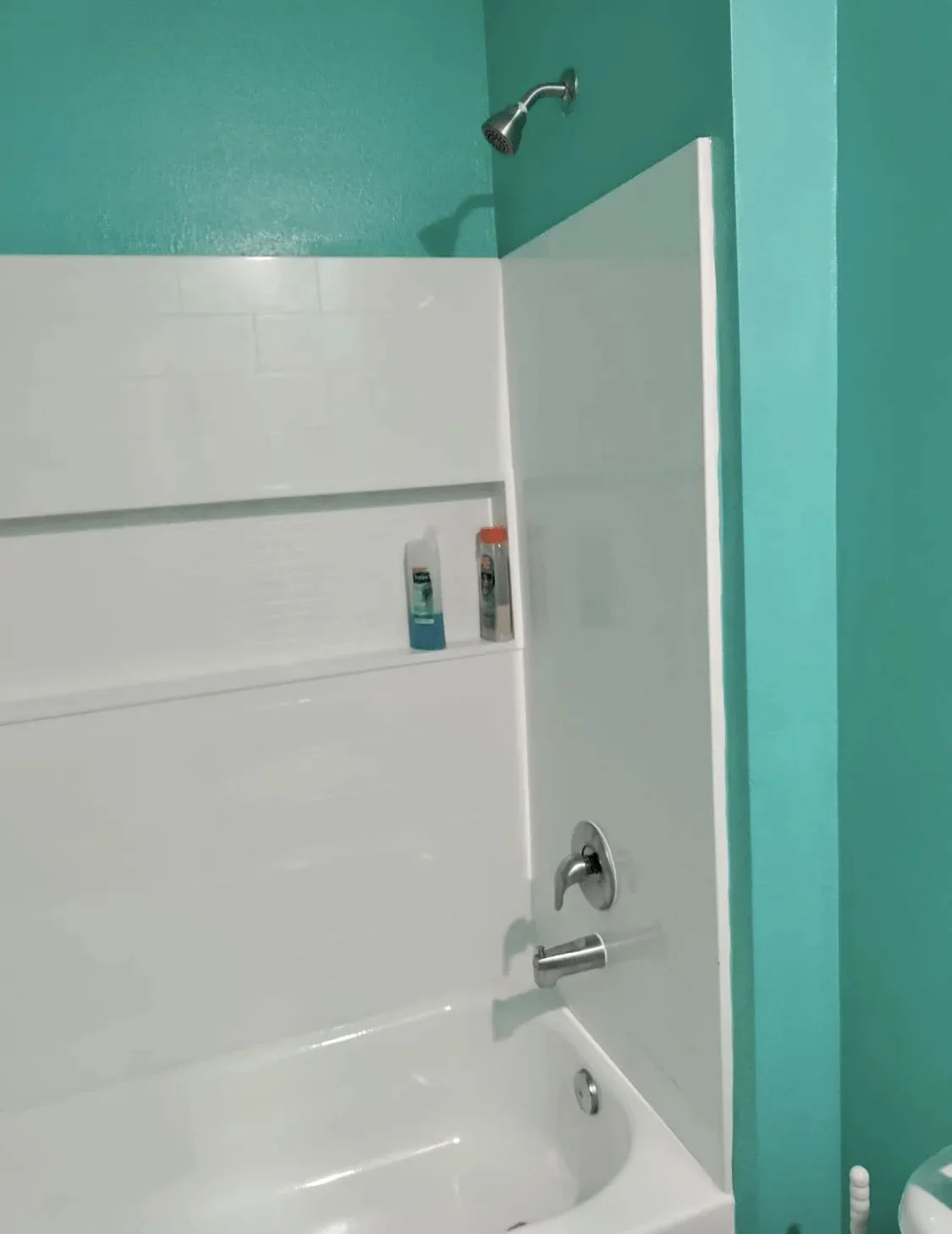 Bathroom wall painting