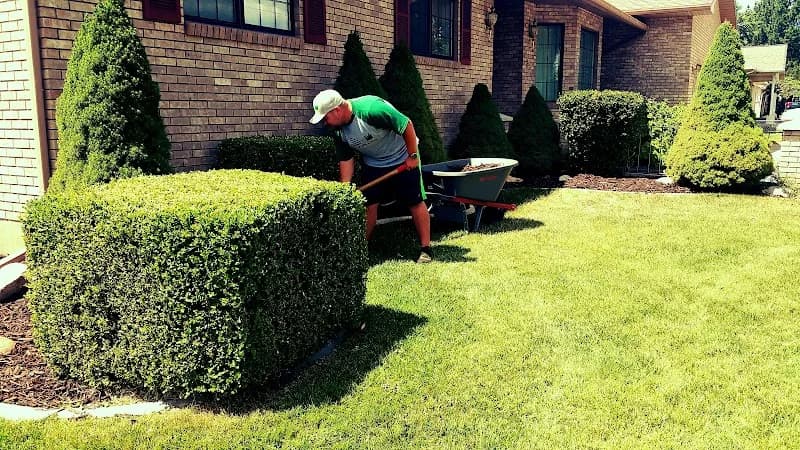 CV Lawn King portfolio photo