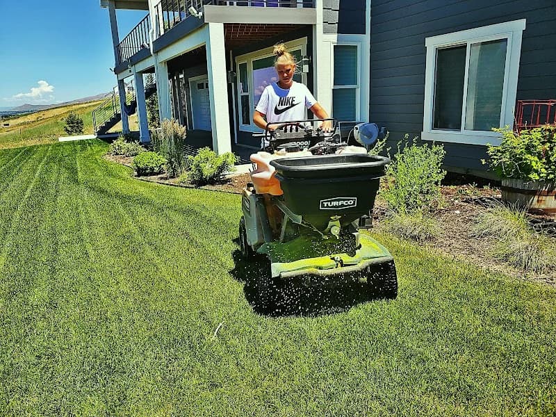 CV Lawn King portfolio photo