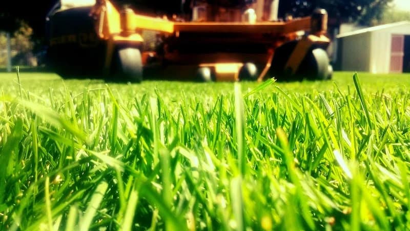 CV Lawn King portfolio photo