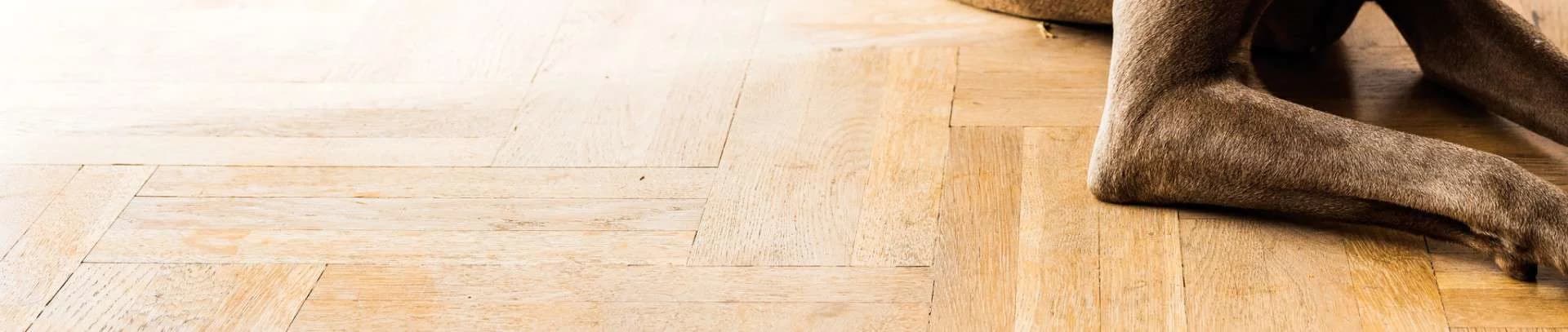 Flooring Pro portfolio photo