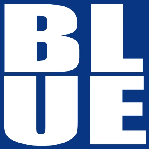 Blue Inc portfolio photo