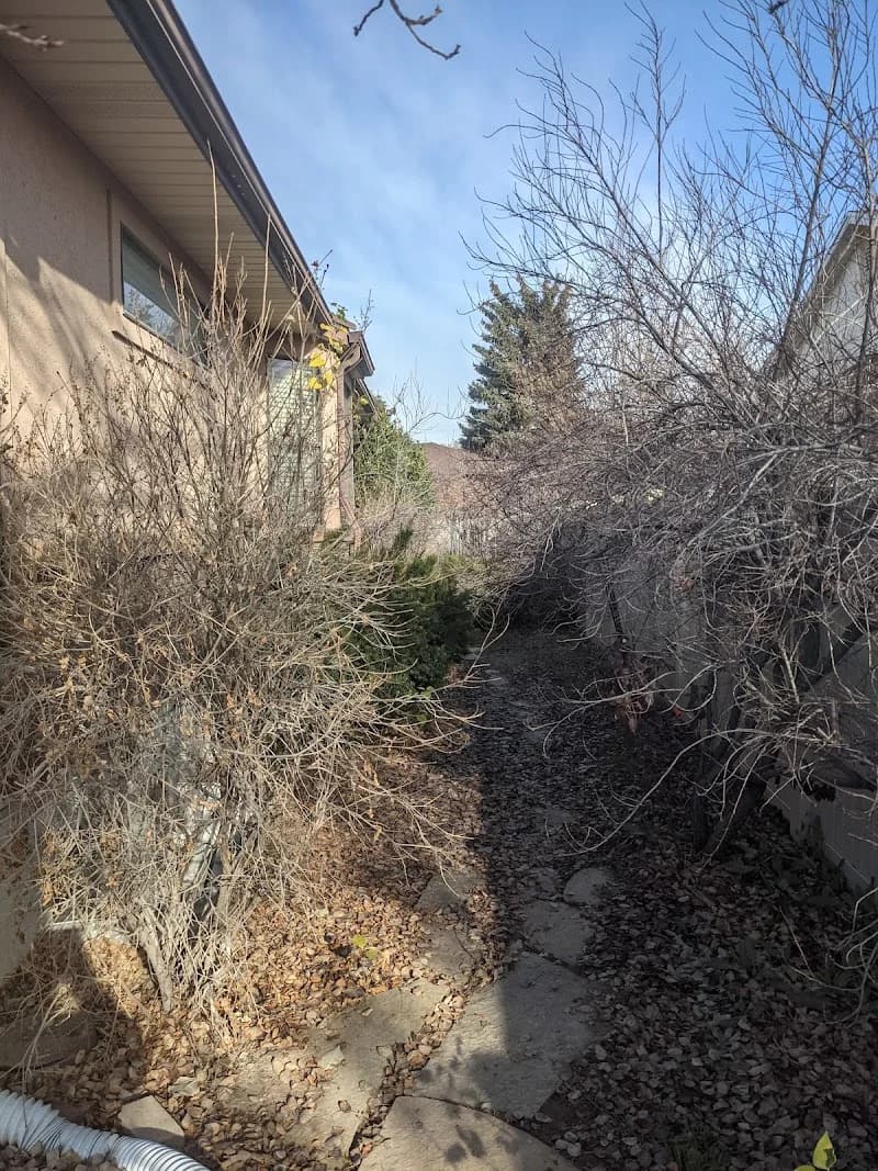 A & L Landscaping portfolio photo