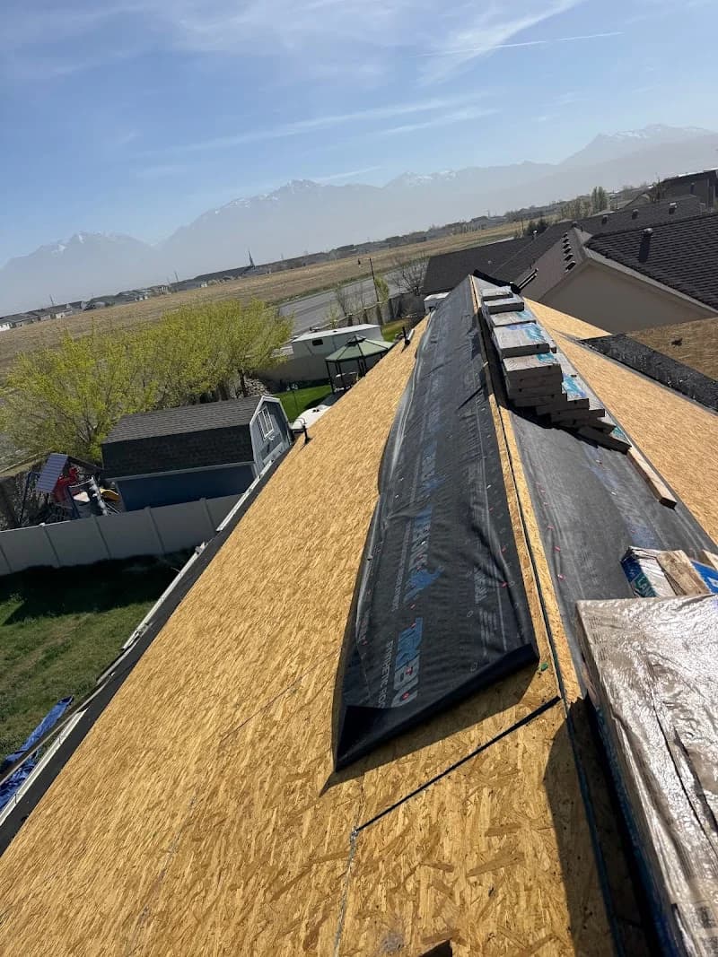 Signature Roofing | Utah's Premier Roof Experts portfolio photo