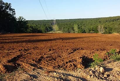 Tree Clearing