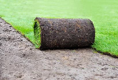Dozer Work