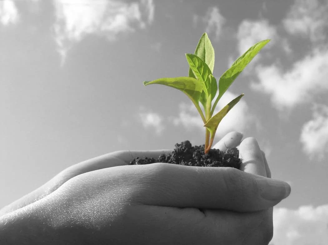Phoenix AZ roofing company core value system
