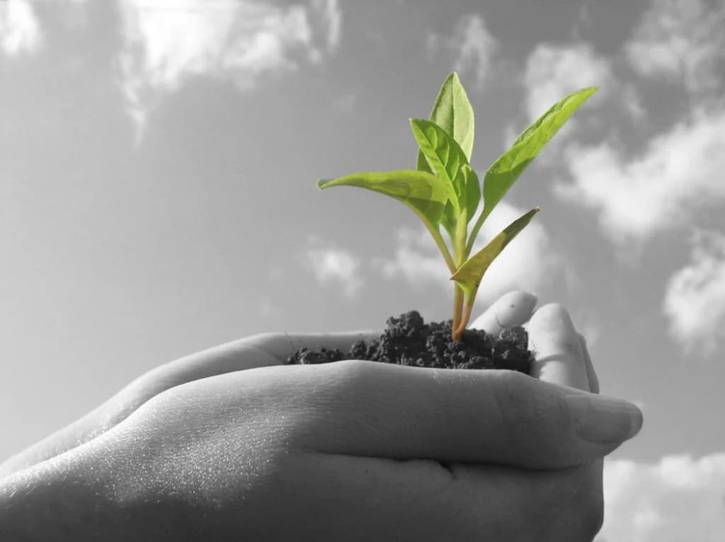 Phoenix AZ roofing company core value system