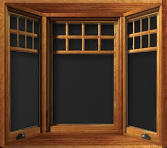 Bay & Bow Windows
