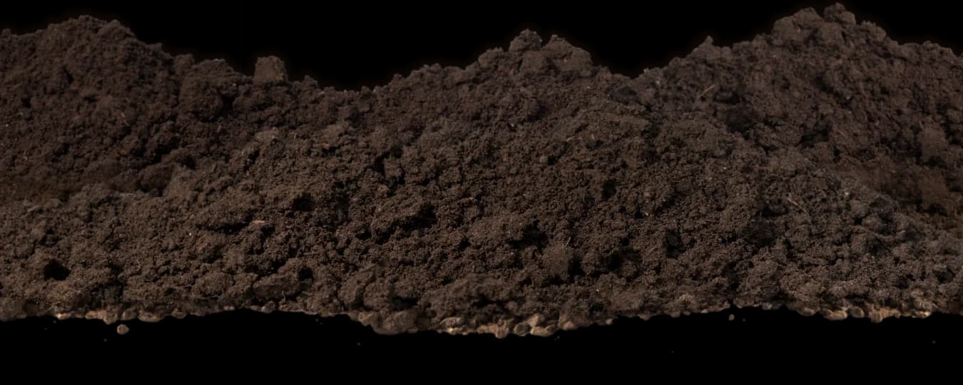 Castle-Dirt-Transition-3
