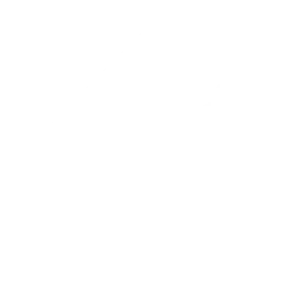MD wrecking ball image
