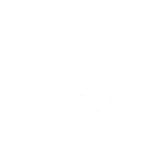Technical Assistance