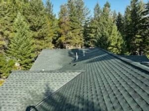 image_123650291 (4)