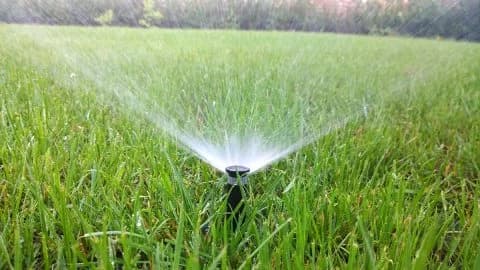 In-Ground Sprinkler Installation