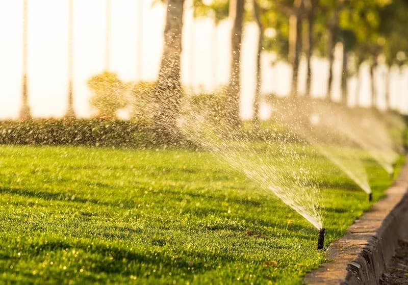 Vibe Irrigation portfolio photo