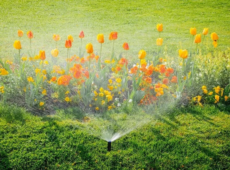 Vibe Irrigation portfolio photo