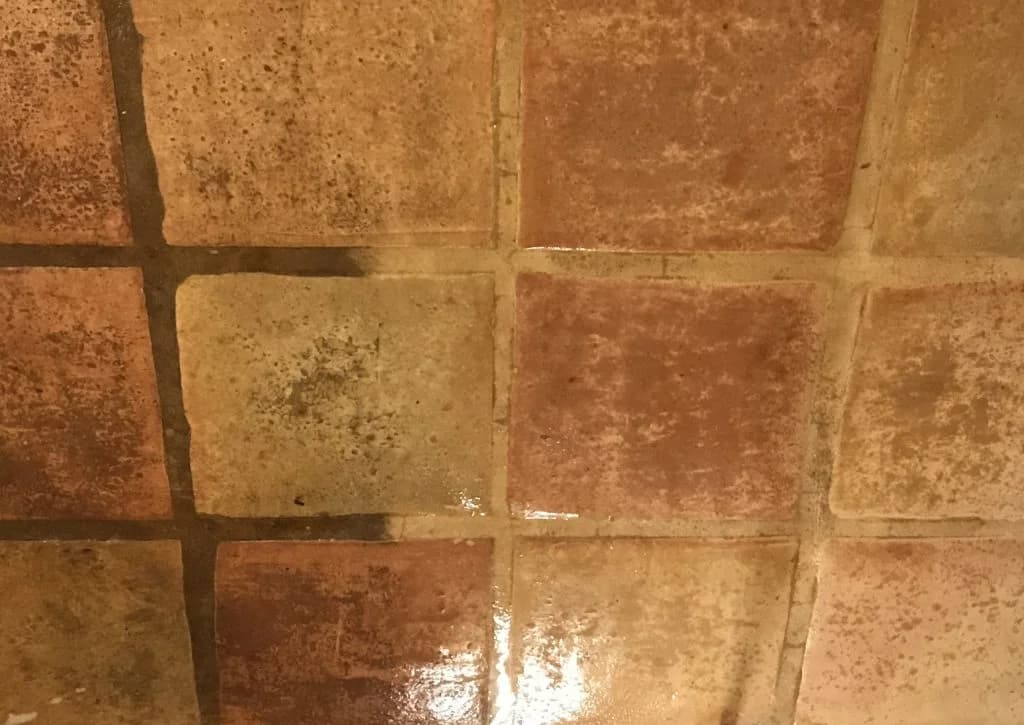 Tile Tech Inc. portfolio photo