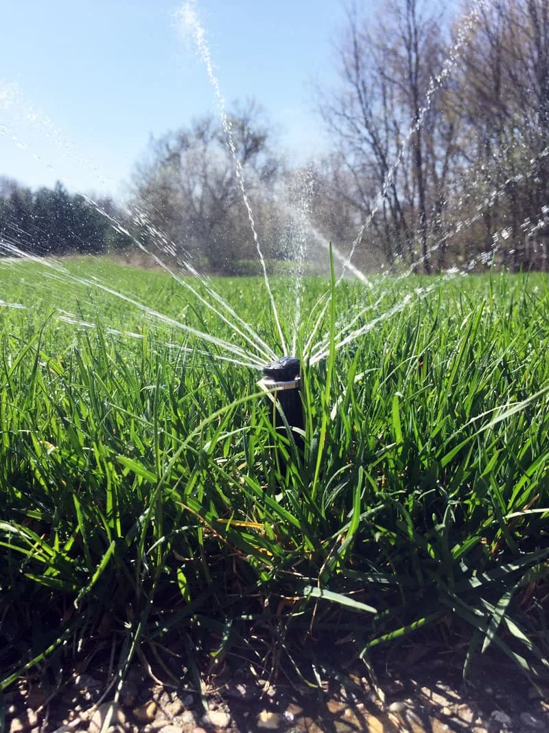 Splash Irrigation Inc. portfolio photo