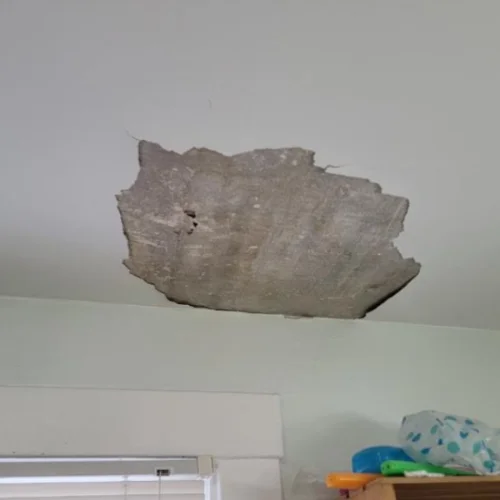 Loft Drywall & Plaster portfolio photo
