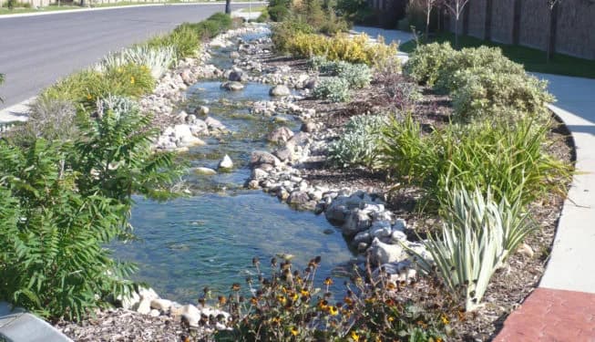 Vizion Construction and Landscaping portfolio photo