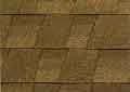 Shingle Type 2 at Walker Roofing
