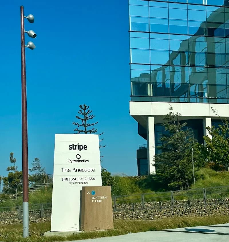 stripe testing account portfolio photo