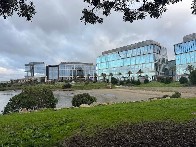 stripe testing account portfolio photo