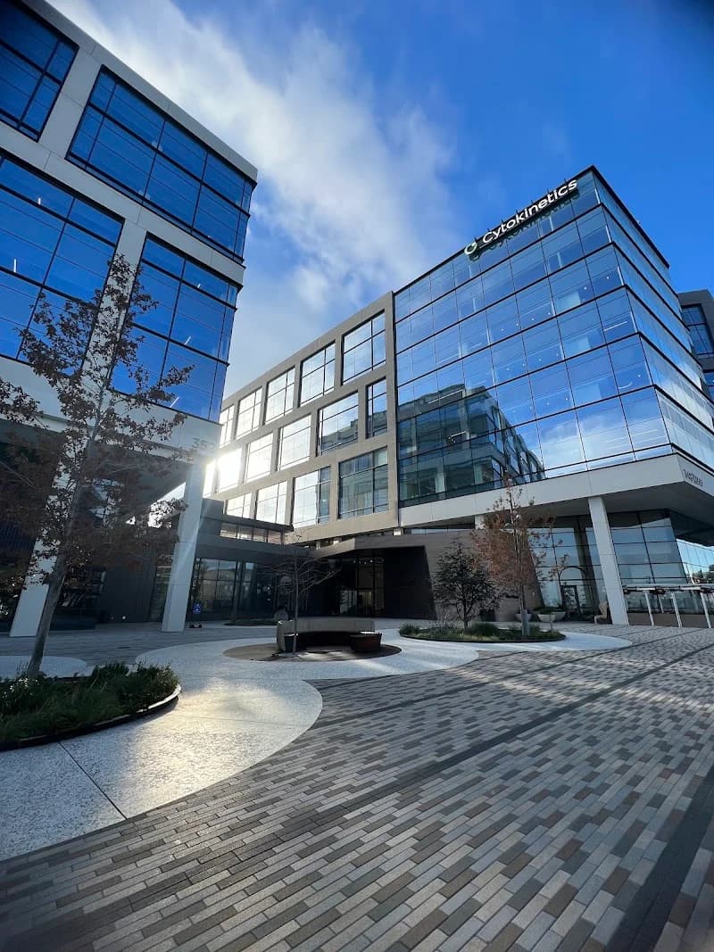 stripe testing account portfolio photo