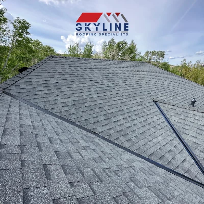 Roof Repair Specialist portfolio photo