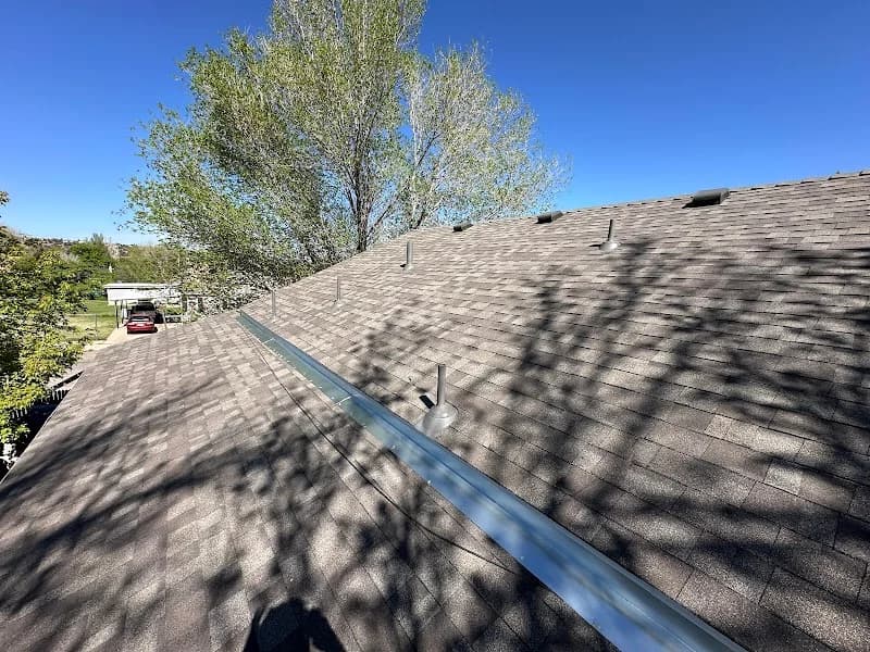 Roof Repair Specialist portfolio photo