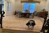 Wood Flooring USA Custom Floors & Design portfolio photo
