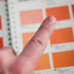 choose interior color