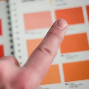 choose interior color