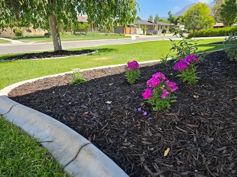 Imagine Landscape, LLC portfolio photo