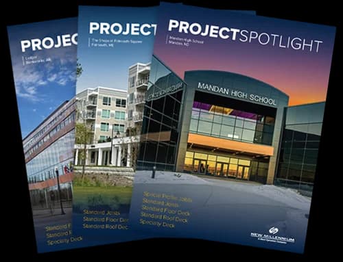 New Millennium Project Spotlights