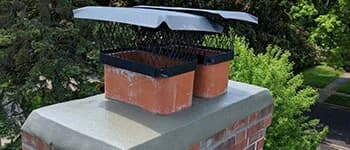 Chimney cleaning
