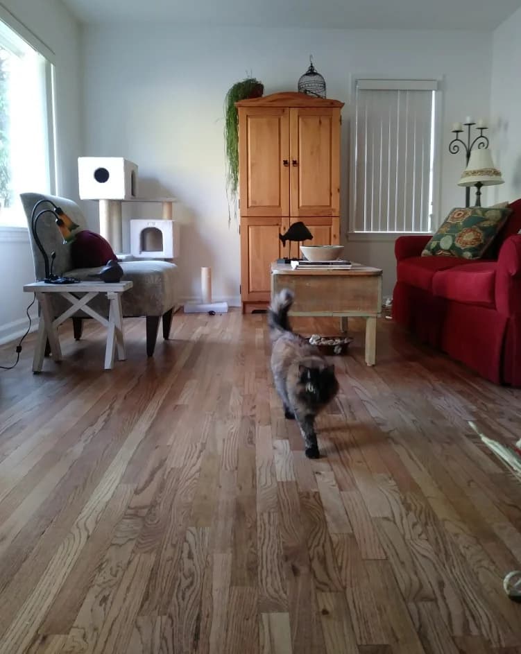 Forbo Flooring portfolio photo