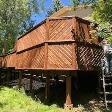 Revive Your Deck: Professional Restoration Services in River Forest, IL