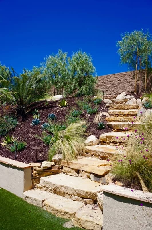 Complete outdoor living space with patio, plantings, and landscape lighting in San Diego