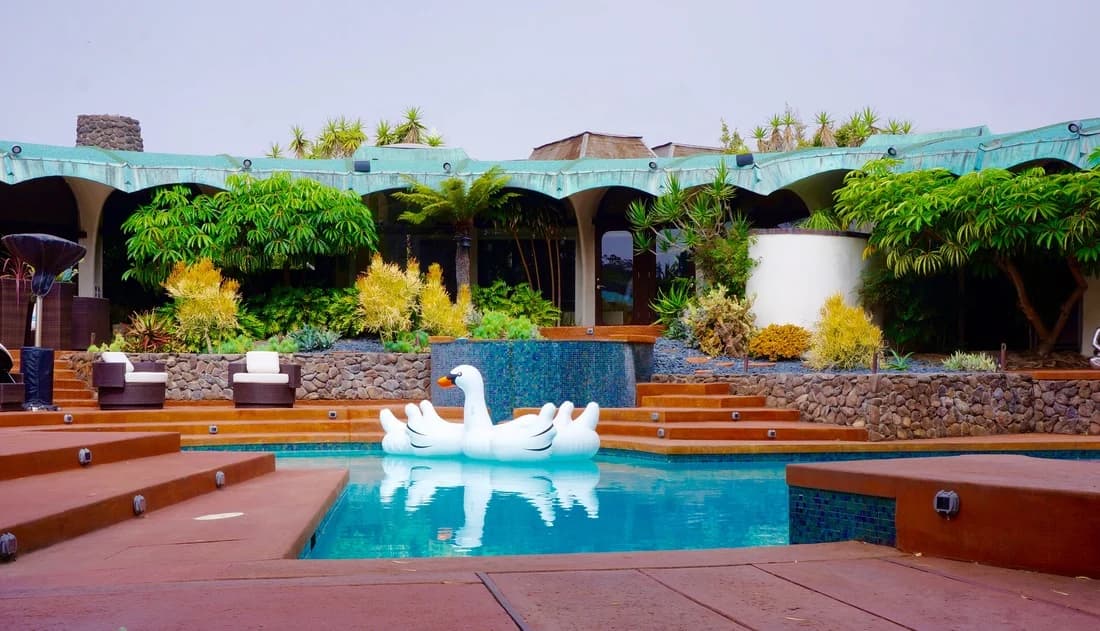 Modern backyard design with premium plantings and hardscape